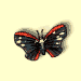 abbrev.gif (904 bytes)