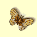 homebkgd.gif (1850 bytes)