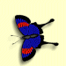 orderfrm.gif (2998 bytes)